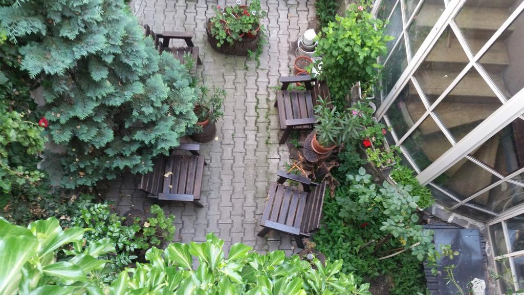 Vila Monica Acomodação com café da manhã Târgu-Mureş Exterior foto