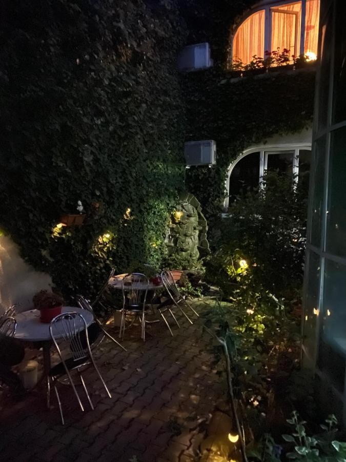 Vila Monica Acomodação com café da manhã Târgu-Mureş Exterior foto
